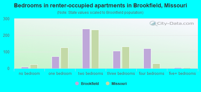 Bedrooms in renter-occupied apartments in Brookfield, Missouri