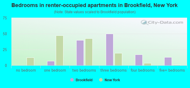 Bedrooms in renter-occupied apartments in Brookfield, New York