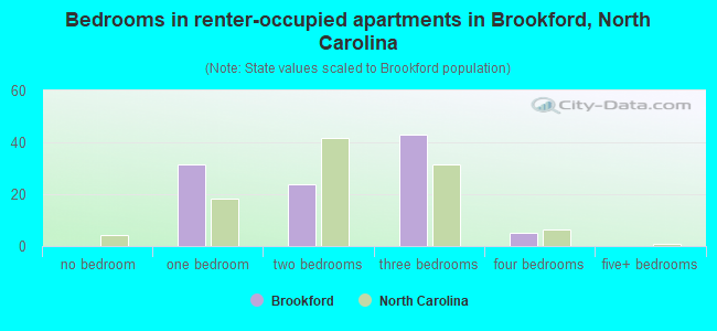 Bedrooms in renter-occupied apartments in Brookford, North Carolina