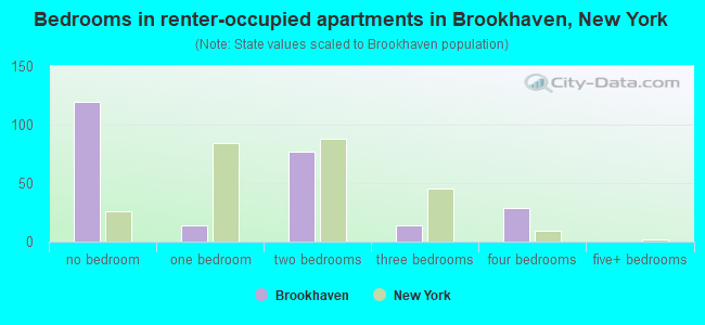 Bedrooms in renter-occupied apartments in Brookhaven, New York