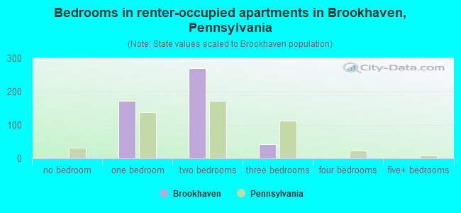 Bedrooms in renter-occupied apartments in Brookhaven, Pennsylvania