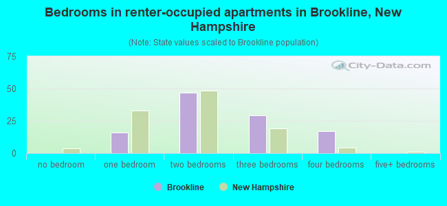 Bedrooms in renter-occupied apartments in Brookline, New Hampshire