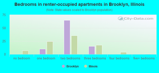 Bedrooms in renter-occupied apartments in Brooklyn, Illinois