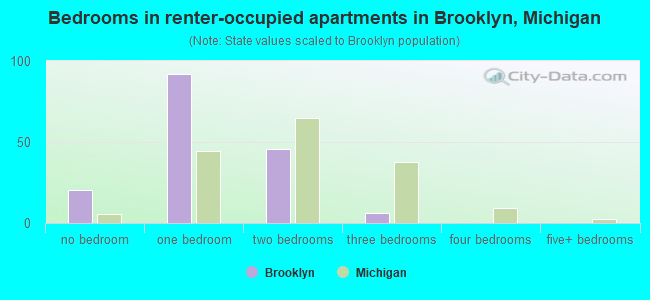 Bedrooms in renter-occupied apartments in Brooklyn, Michigan