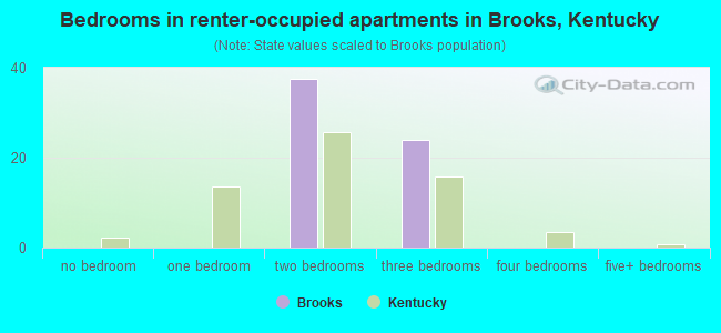 Bedrooms in renter-occupied apartments in Brooks, Kentucky