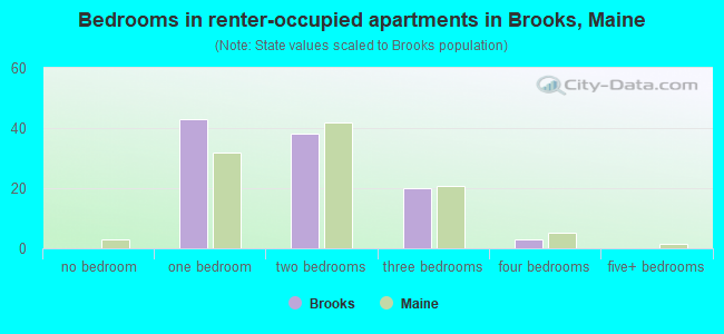 Bedrooms in renter-occupied apartments in Brooks, Maine