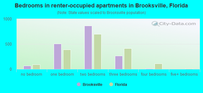 Bedrooms in renter-occupied apartments in Brooksville, Florida