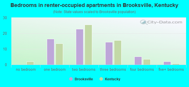 Bedrooms in renter-occupied apartments in Brooksville, Kentucky