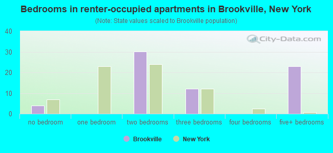 Bedrooms in renter-occupied apartments in Brookville, New York