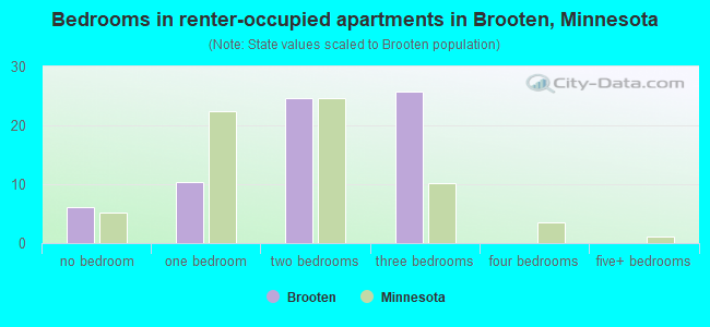 Bedrooms in renter-occupied apartments in Brooten, Minnesota