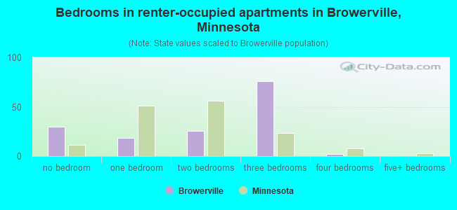 Bedrooms in renter-occupied apartments in Browerville, Minnesota