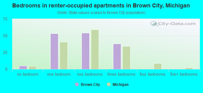 Bedrooms in renter-occupied apartments in Brown City, Michigan
