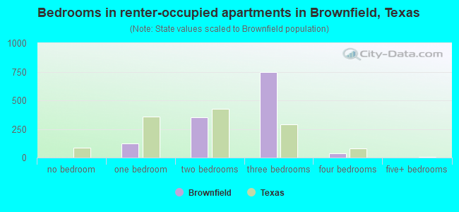 Bedrooms in renter-occupied apartments in Brownfield, Texas