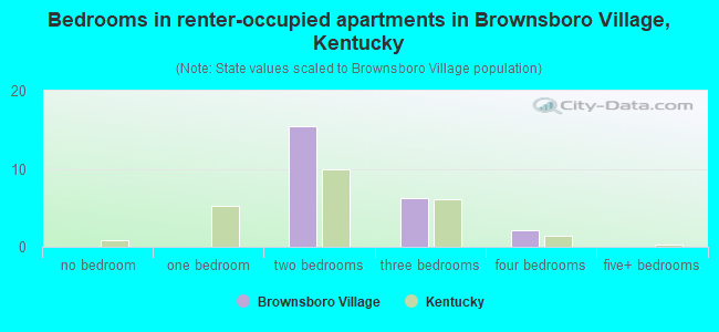 Bedrooms in renter-occupied apartments in Brownsboro Village, Kentucky