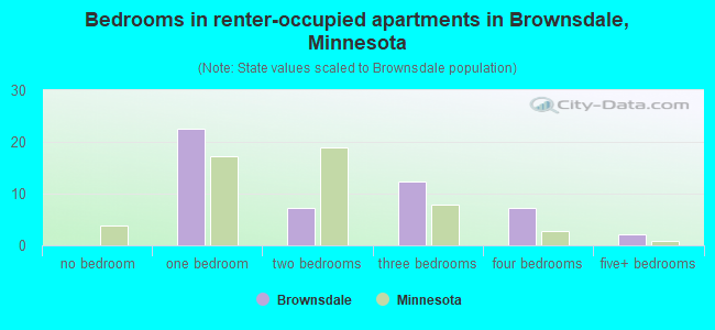 Bedrooms in renter-occupied apartments in Brownsdale, Minnesota