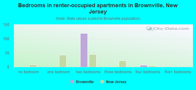 Bedrooms in renter-occupied apartments in Brownville, New Jersey