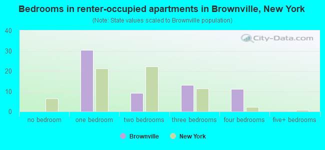 Bedrooms in renter-occupied apartments in Brownville, New York