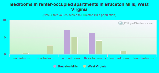 Bedrooms in renter-occupied apartments in Bruceton Mills, West Virginia