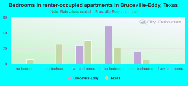 Bedrooms in renter-occupied apartments in Bruceville-Eddy, Texas