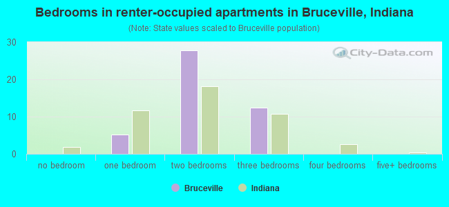 Bedrooms in renter-occupied apartments in Bruceville, Indiana