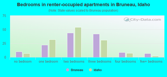 Bedrooms in renter-occupied apartments in Bruneau, Idaho