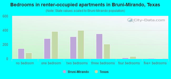 Bedrooms in renter-occupied apartments in Bruni-Mirando, Texas