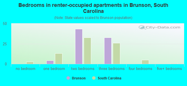 Bedrooms in renter-occupied apartments in Brunson, South Carolina