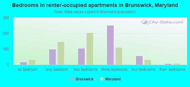 Bedrooms in renter-occupied apartments in Brunswick, Maryland