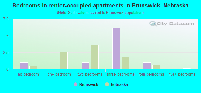 Bedrooms in renter-occupied apartments in Brunswick, Nebraska