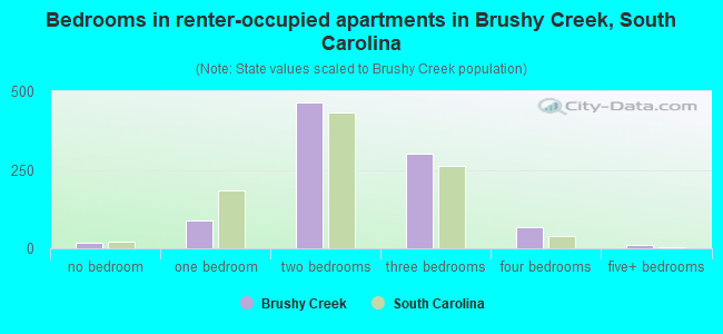 Bedrooms in renter-occupied apartments in Brushy Creek, South Carolina