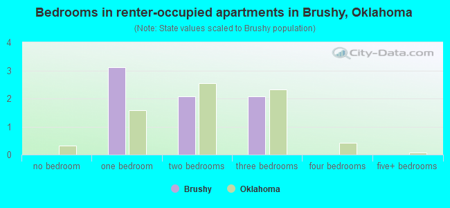 Bedrooms in renter-occupied apartments in Brushy, Oklahoma