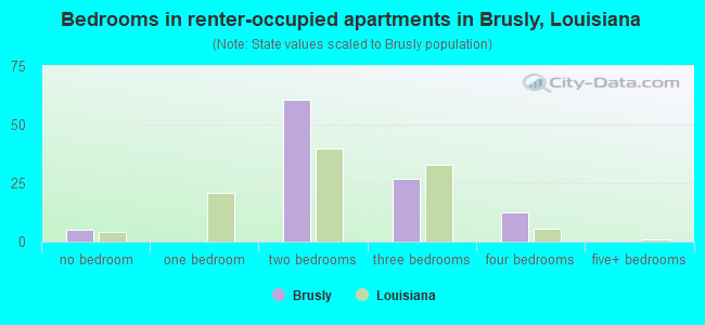 Bedrooms in renter-occupied apartments in Brusly, Louisiana