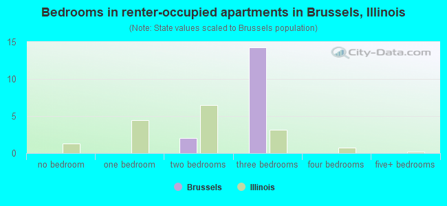 Bedrooms in renter-occupied apartments in Brussels, Illinois