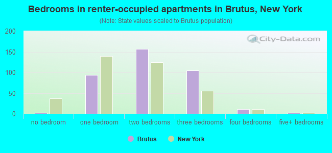 Bedrooms in renter-occupied apartments in Brutus, New York