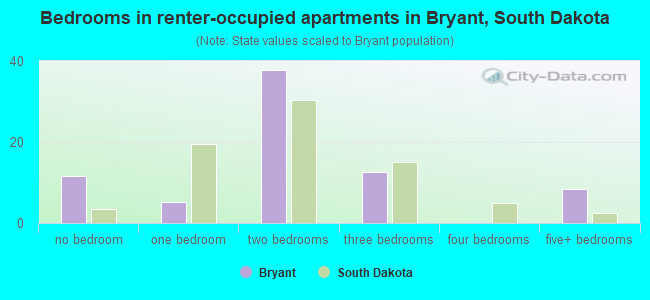 Bedrooms in renter-occupied apartments in Bryant, South Dakota