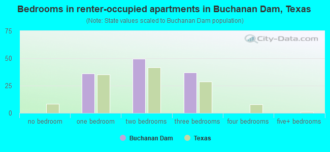 Bedrooms in renter-occupied apartments in Buchanan Dam, Texas