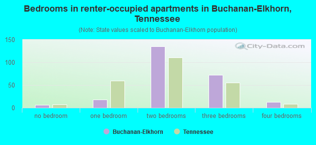 Bedrooms in renter-occupied apartments in Buchanan-Elkhorn, Tennessee