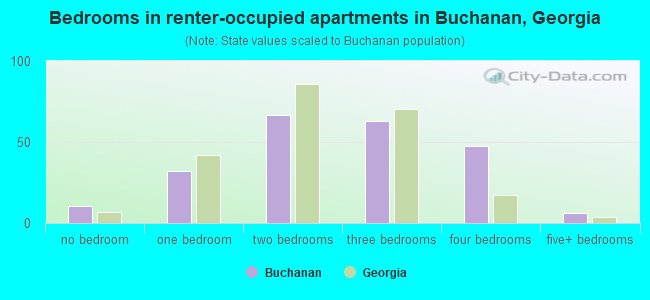 Bedrooms in renter-occupied apartments in Buchanan, Georgia