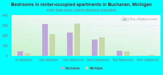 Bedrooms in renter-occupied apartments in Buchanan, Michigan