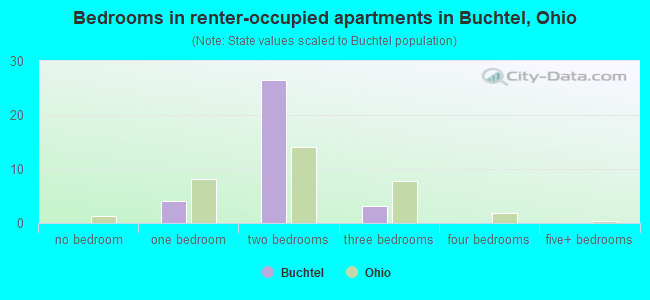 Bedrooms in renter-occupied apartments in Buchtel, Ohio