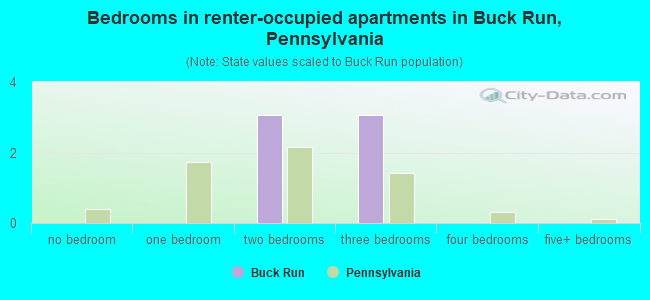 Bedrooms in renter-occupied apartments in Buck Run, Pennsylvania