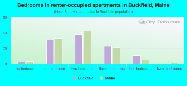 Bedrooms in renter-occupied apartments in Buckfield, Maine