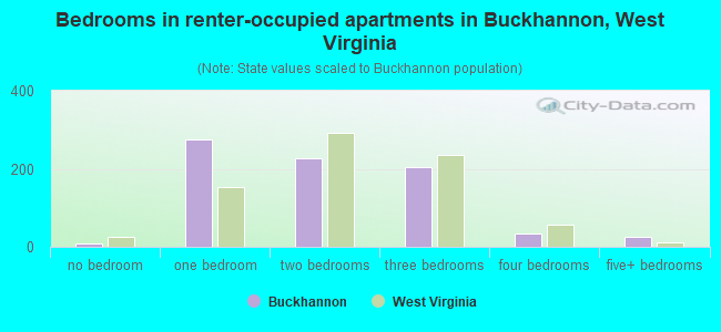 Bedrooms in renter-occupied apartments in Buckhannon, West Virginia