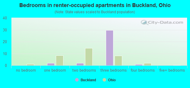 Bedrooms in renter-occupied apartments in Buckland, Ohio