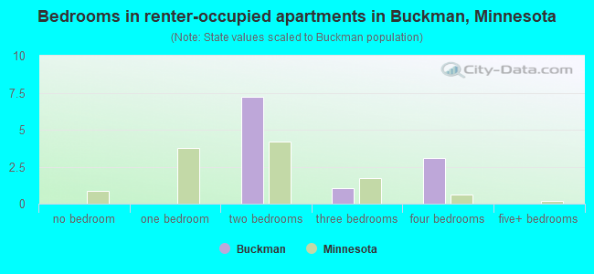 Bedrooms in renter-occupied apartments in Buckman, Minnesota