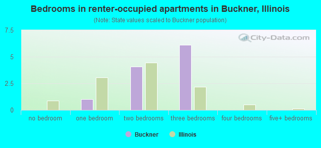Bedrooms in renter-occupied apartments in Buckner, Illinois