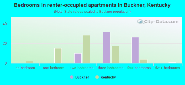 Bedrooms in renter-occupied apartments in Buckner, Kentucky