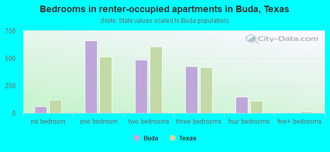 Bedrooms in renter-occupied apartments in Buda, Texas