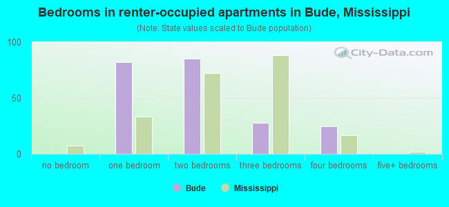 Bedrooms in renter-occupied apartments in Bude, Mississippi