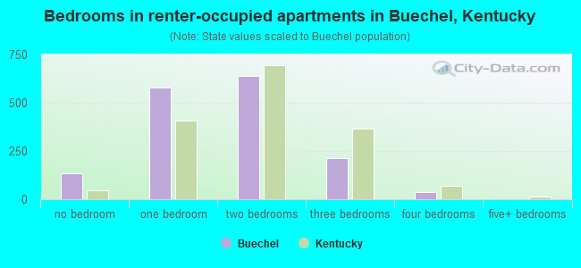 Bedrooms in renter-occupied apartments in Buechel, Kentucky
